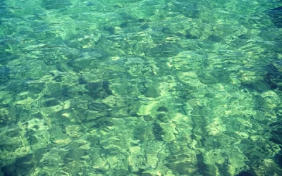 Time For A Catch-Up…